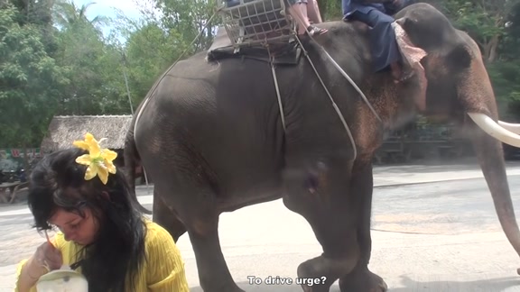 Blowjob as a punishment