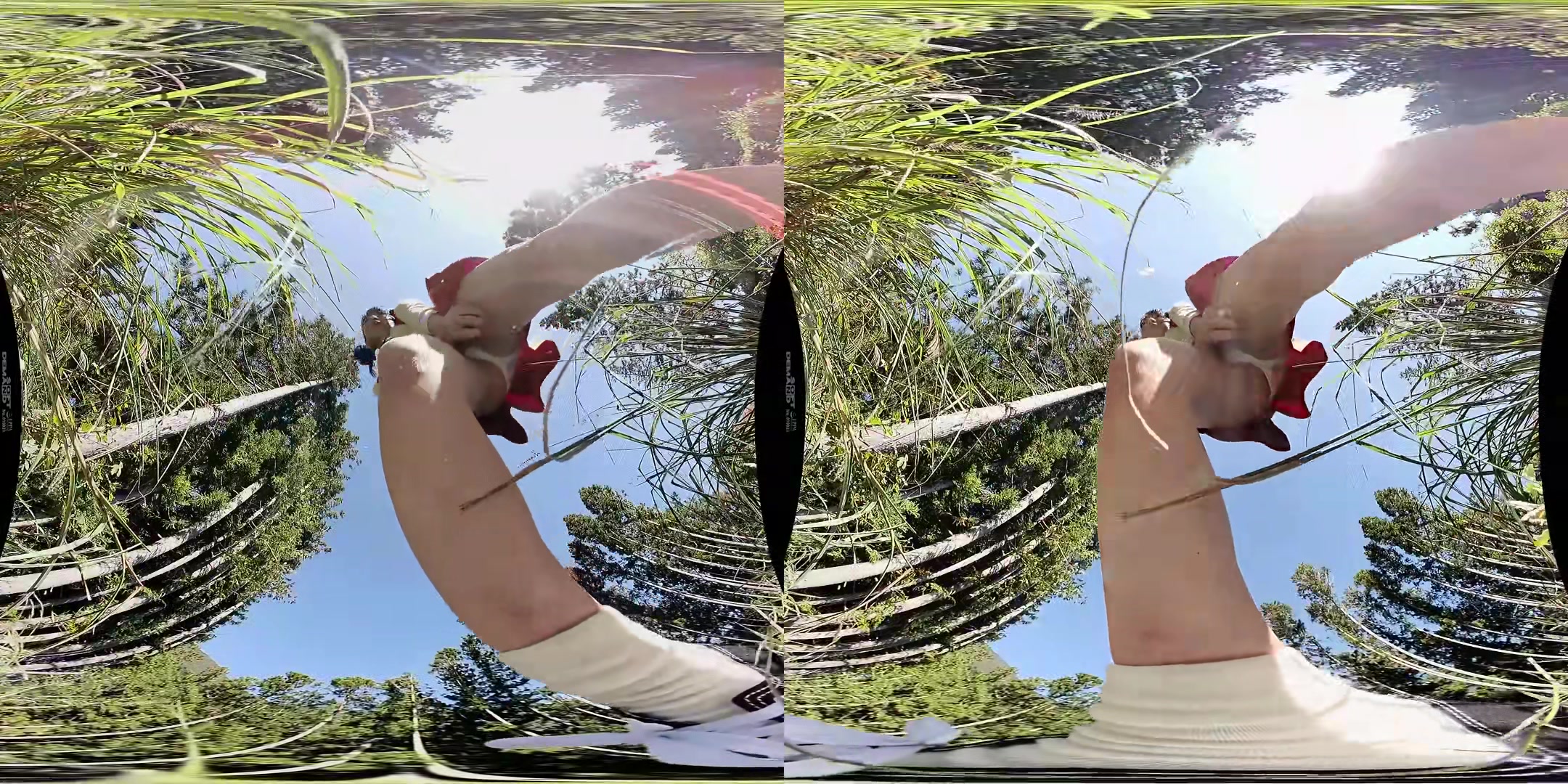 Can't Hold it Any Longer: Outdoor *ssing - SodCreate