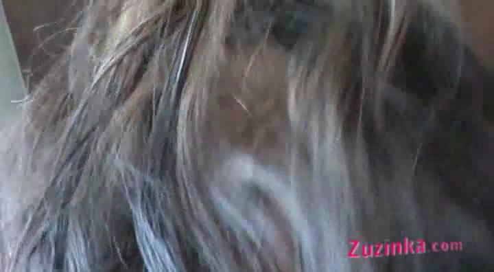 Amateur czech Zuzinka fucks huge dick