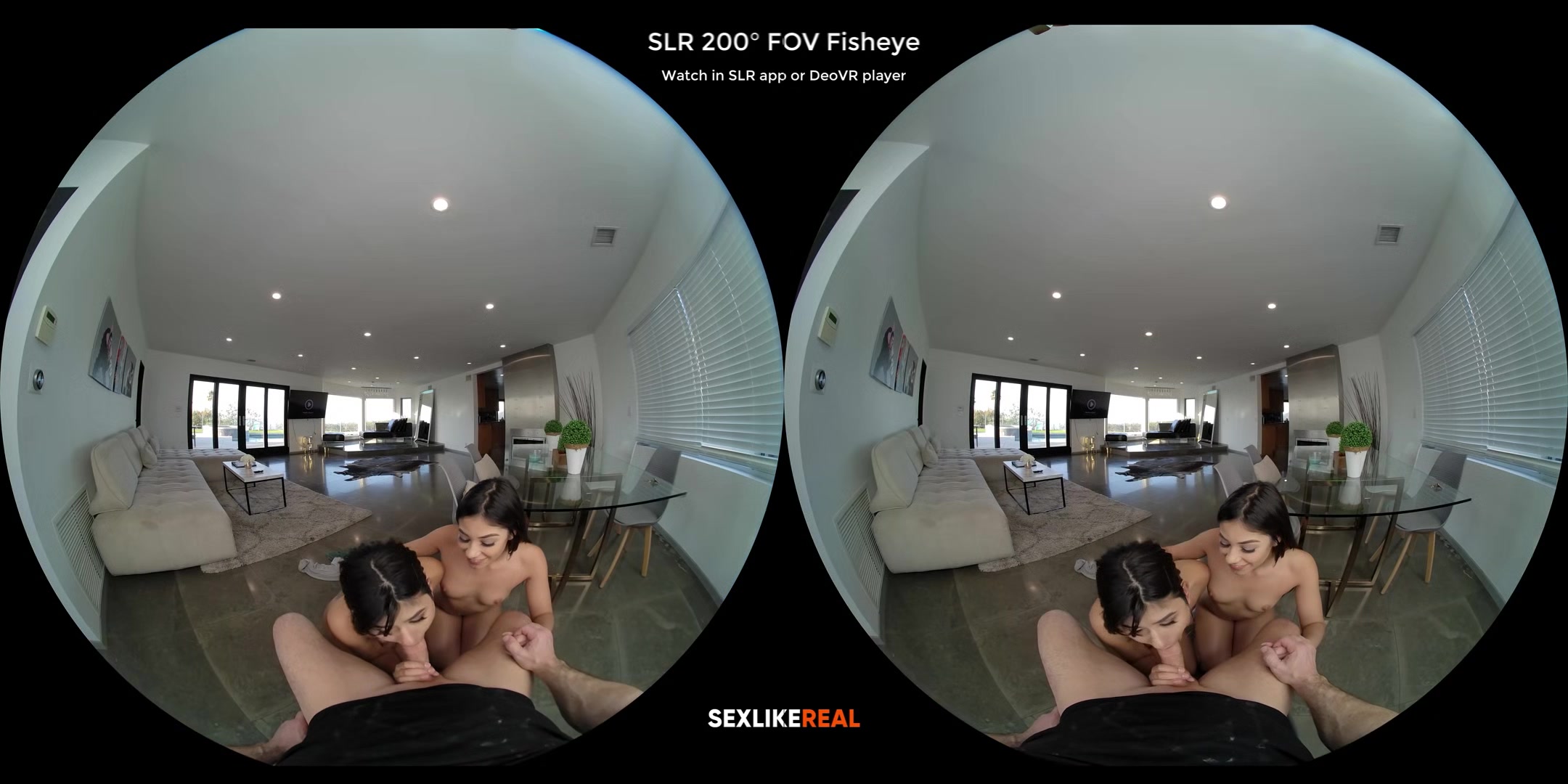 Amazing Blowjob - Duo & Trio Edition - Compilation