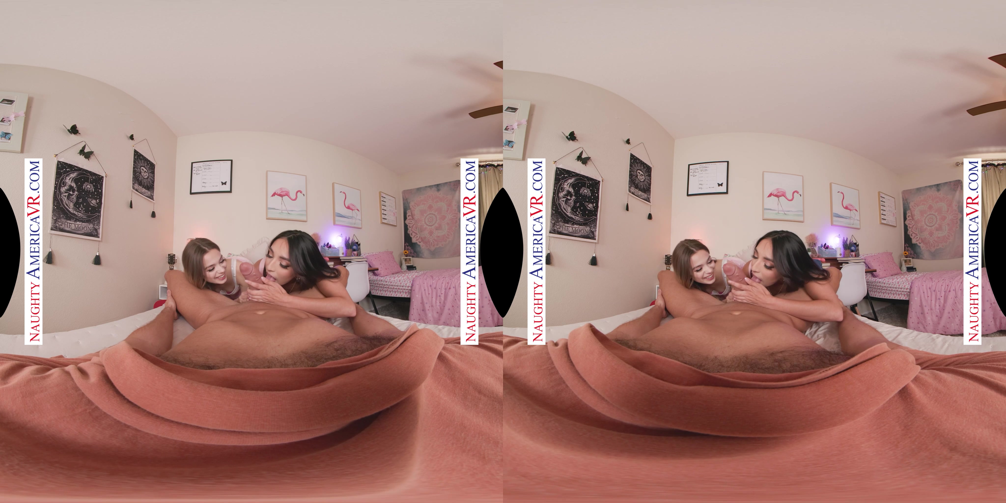 Naughty America Video