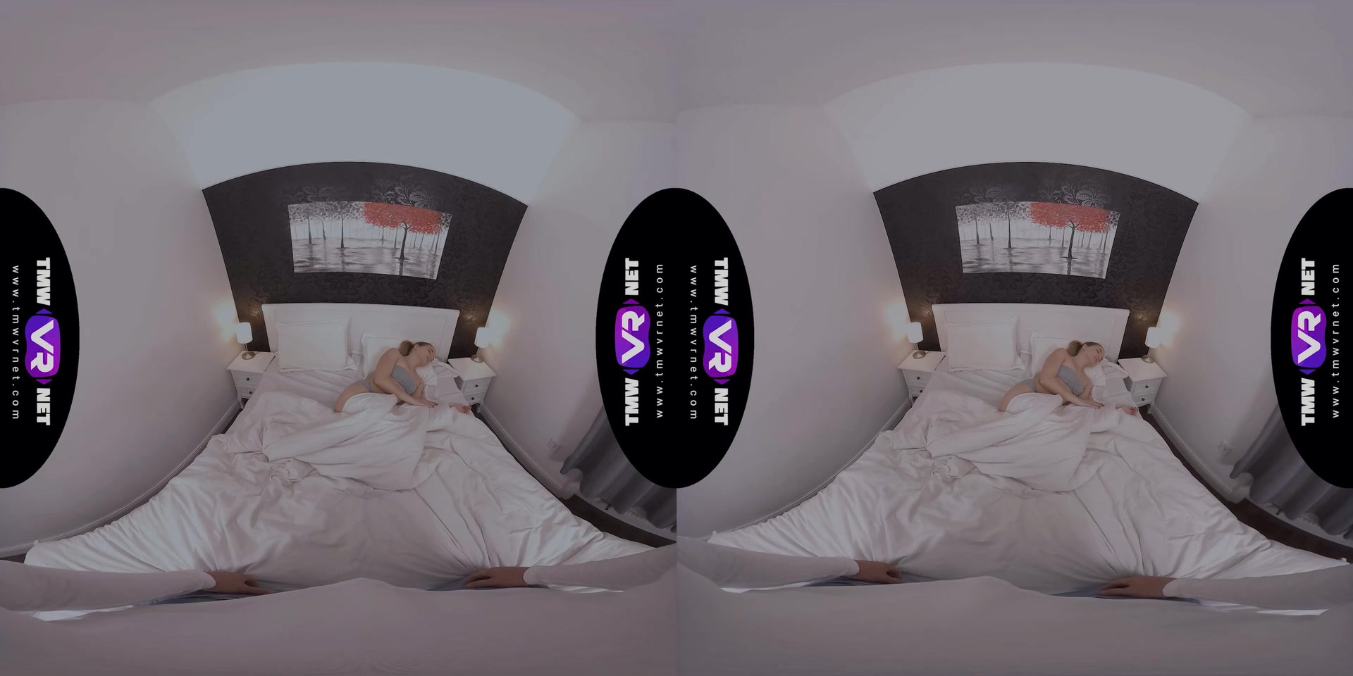 Lad wakes Beauty up for sex - TmwVRnet