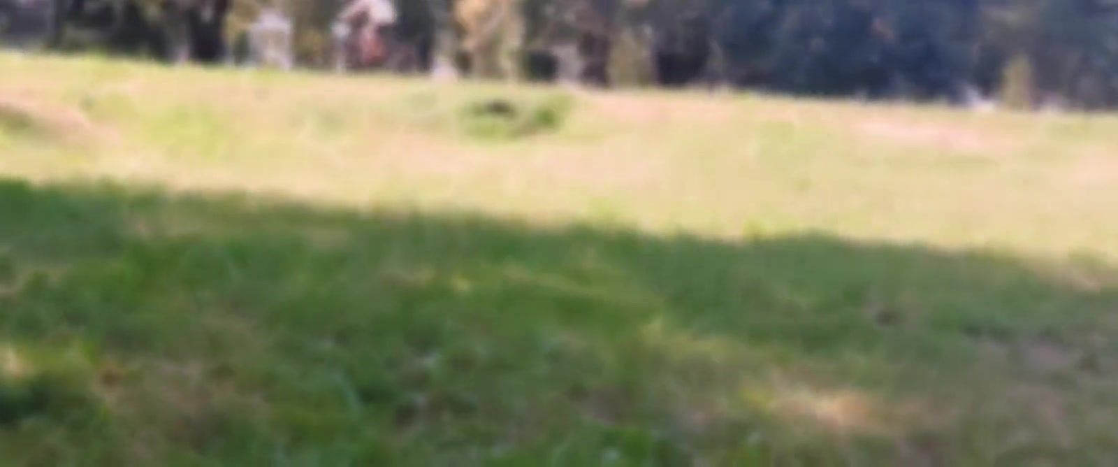 Hot Summer Wank & Cum At The Park