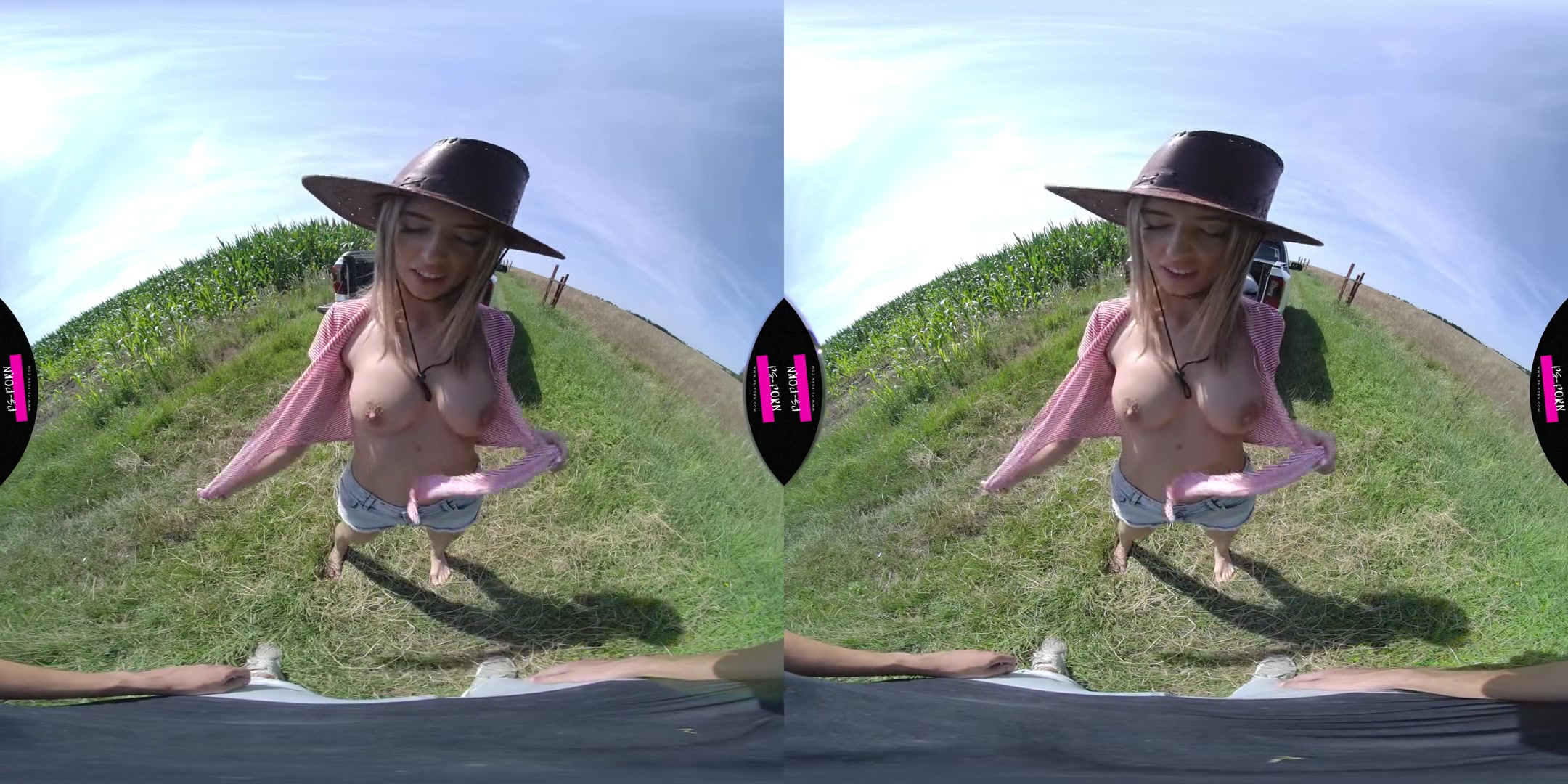 Sex in a pickup from another point of view
