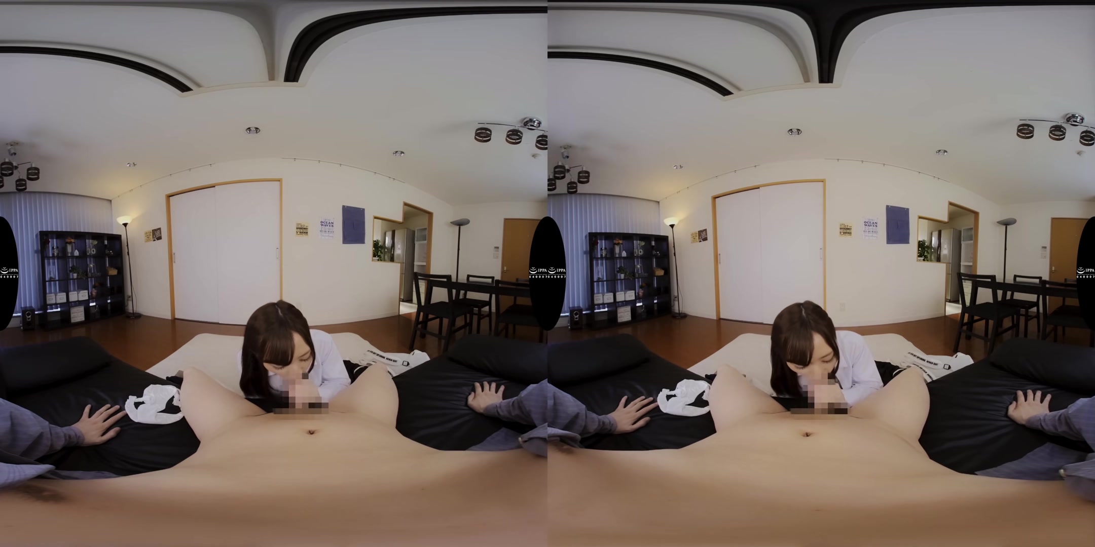 Mei Haruki - Weeee! The Gyaru Bitch Slut - V1VR