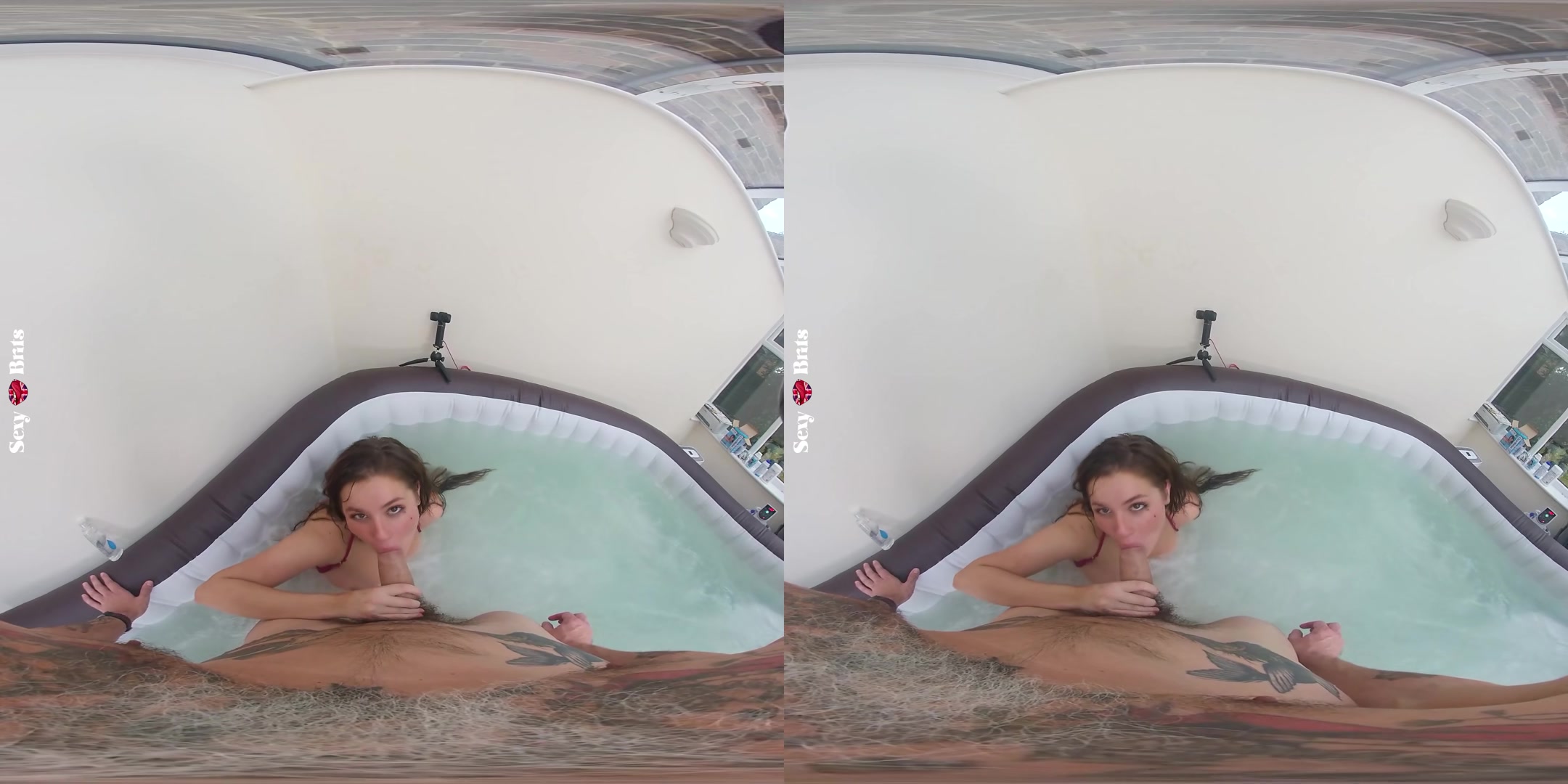 How to Bathe Your Aussie I - perVRt