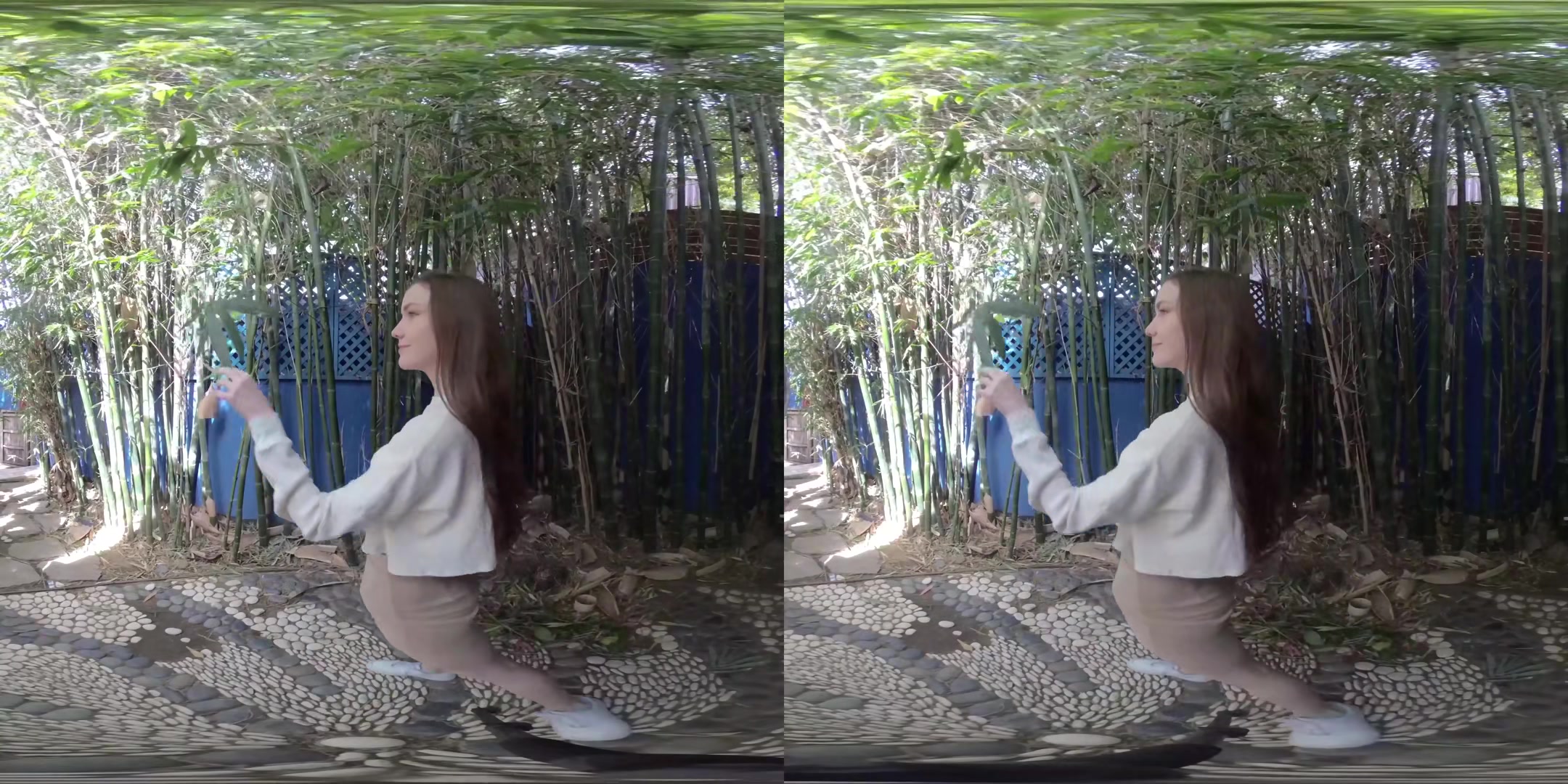 Bamboo - EmilyBloom