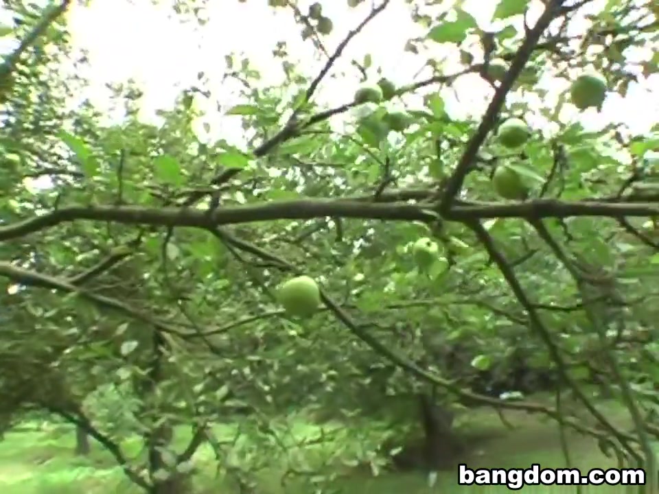 The Missionary Tree Fuck