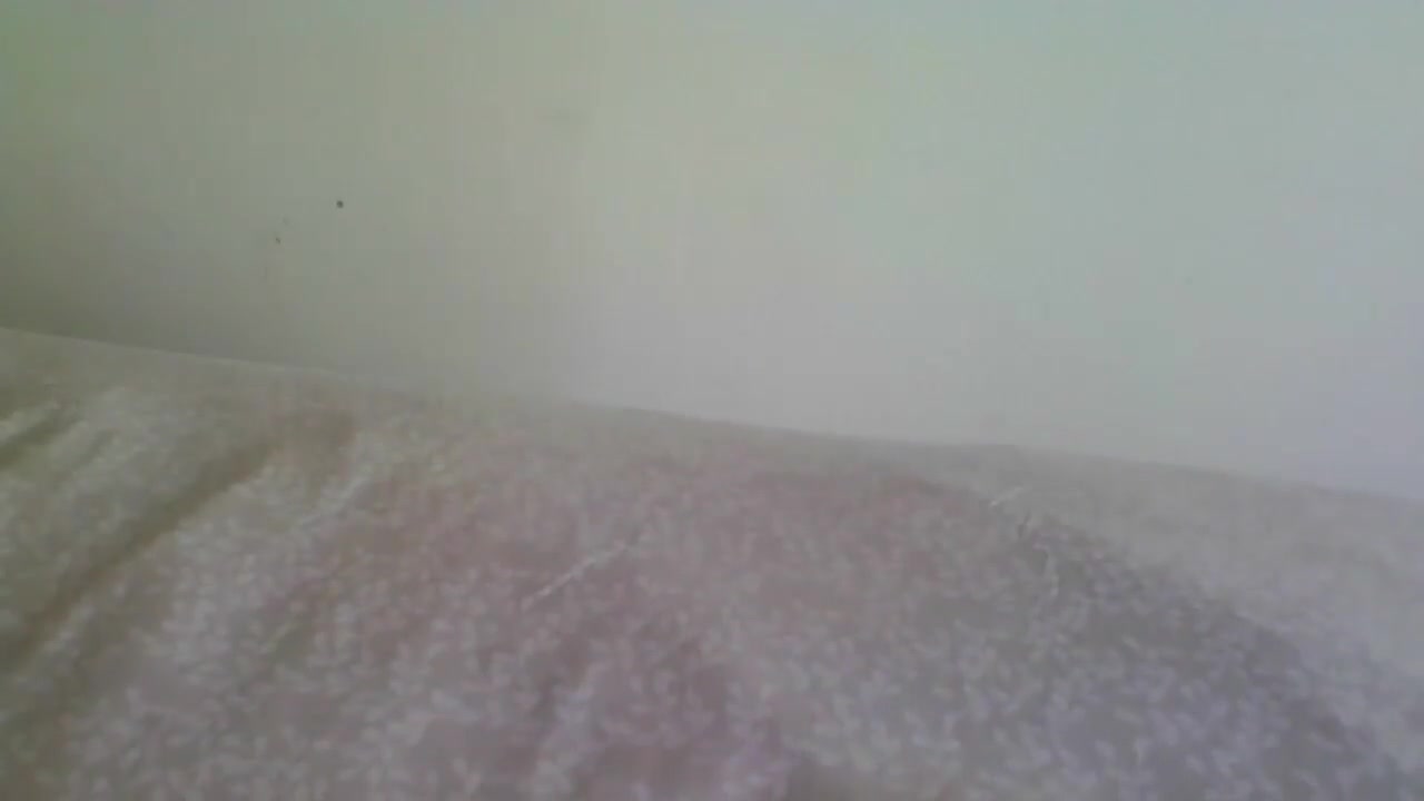 Sucking Dark Brown Cock