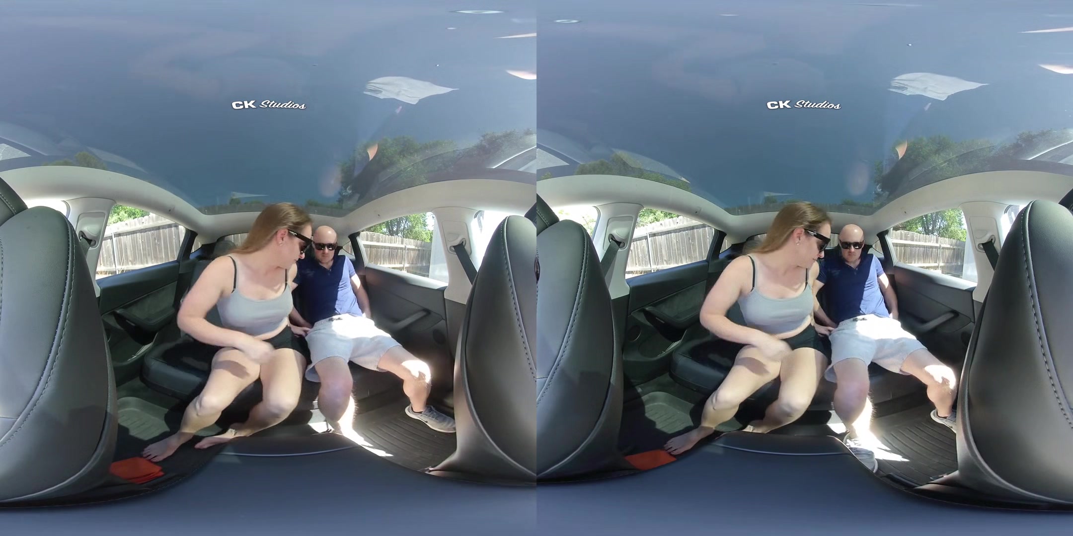 Sex in the Back Seat NO AUDIO