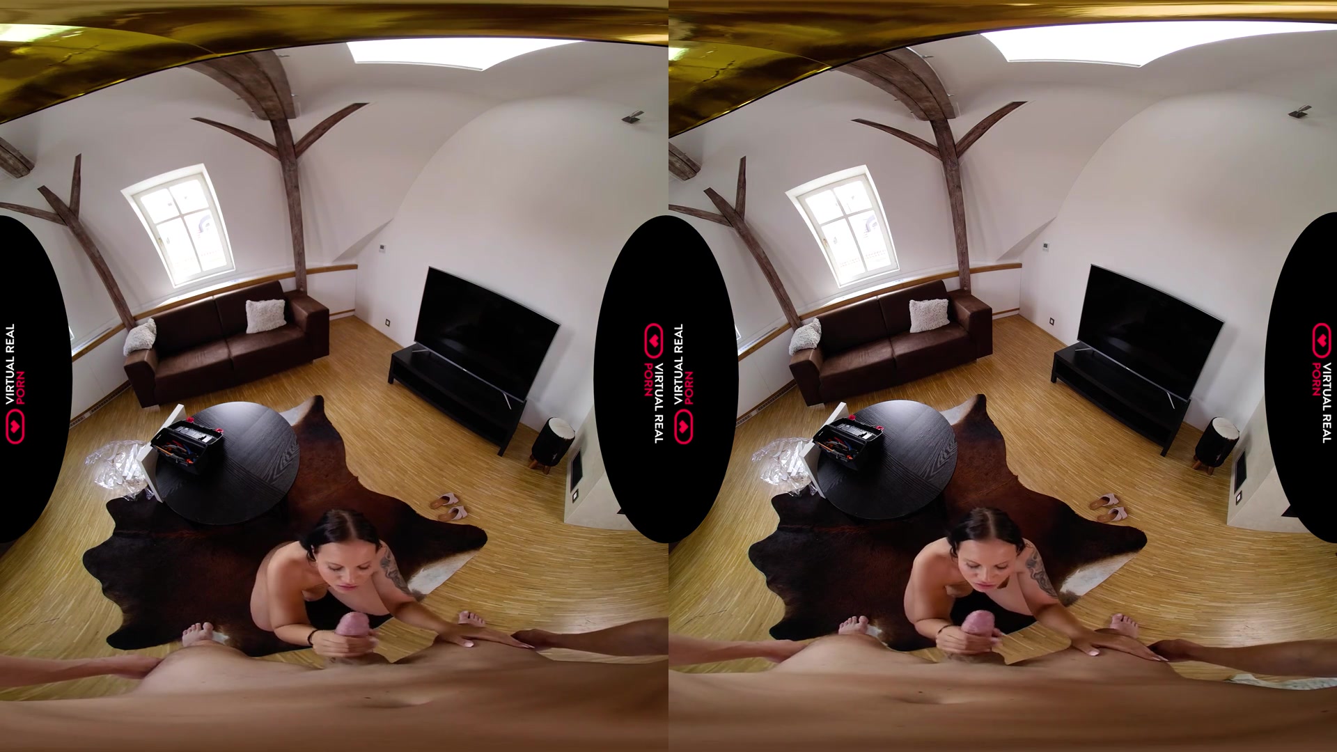 The Art of Seduction - VirtualRealPorn