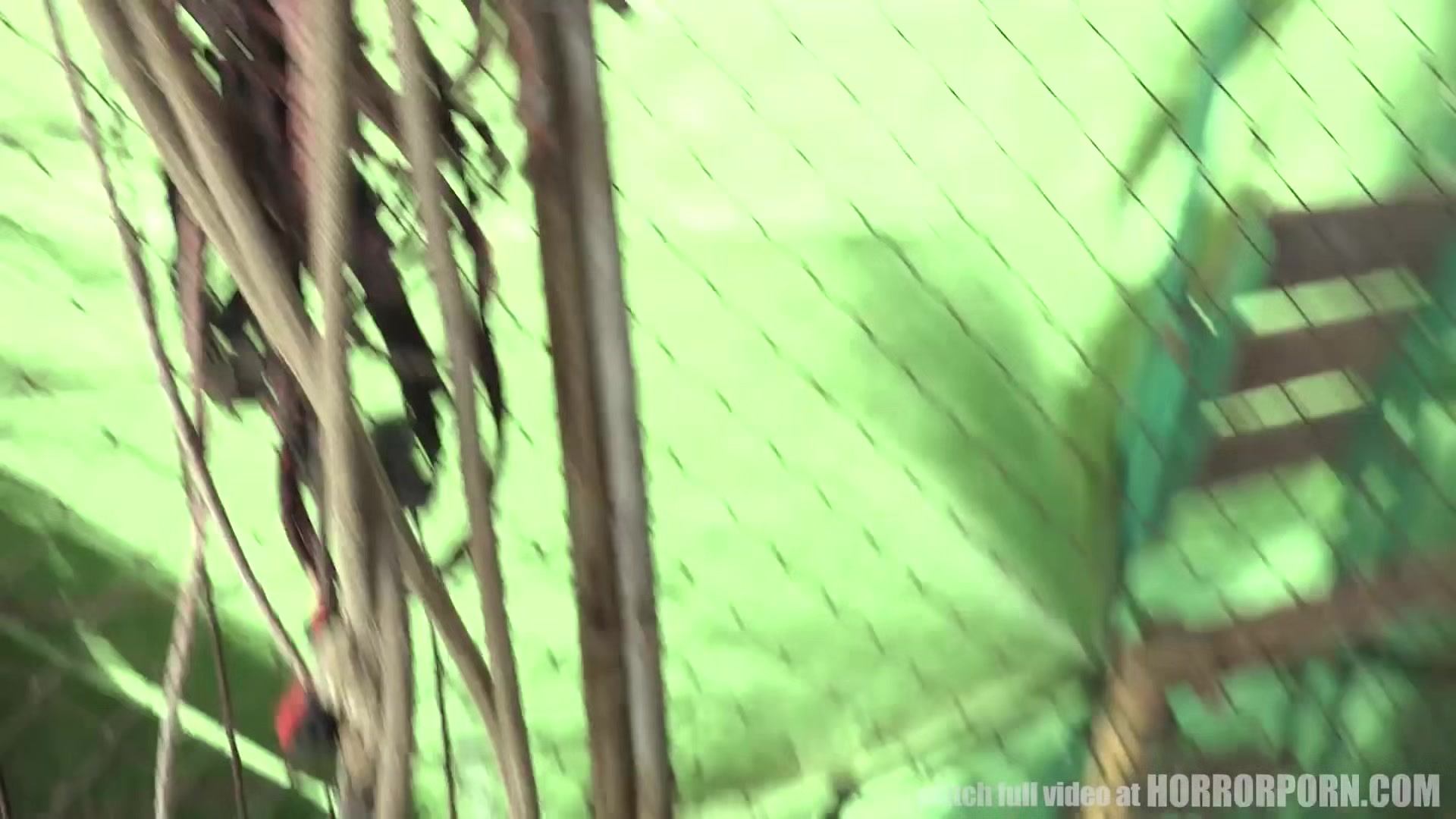 HORRORPORN - Wild Beast