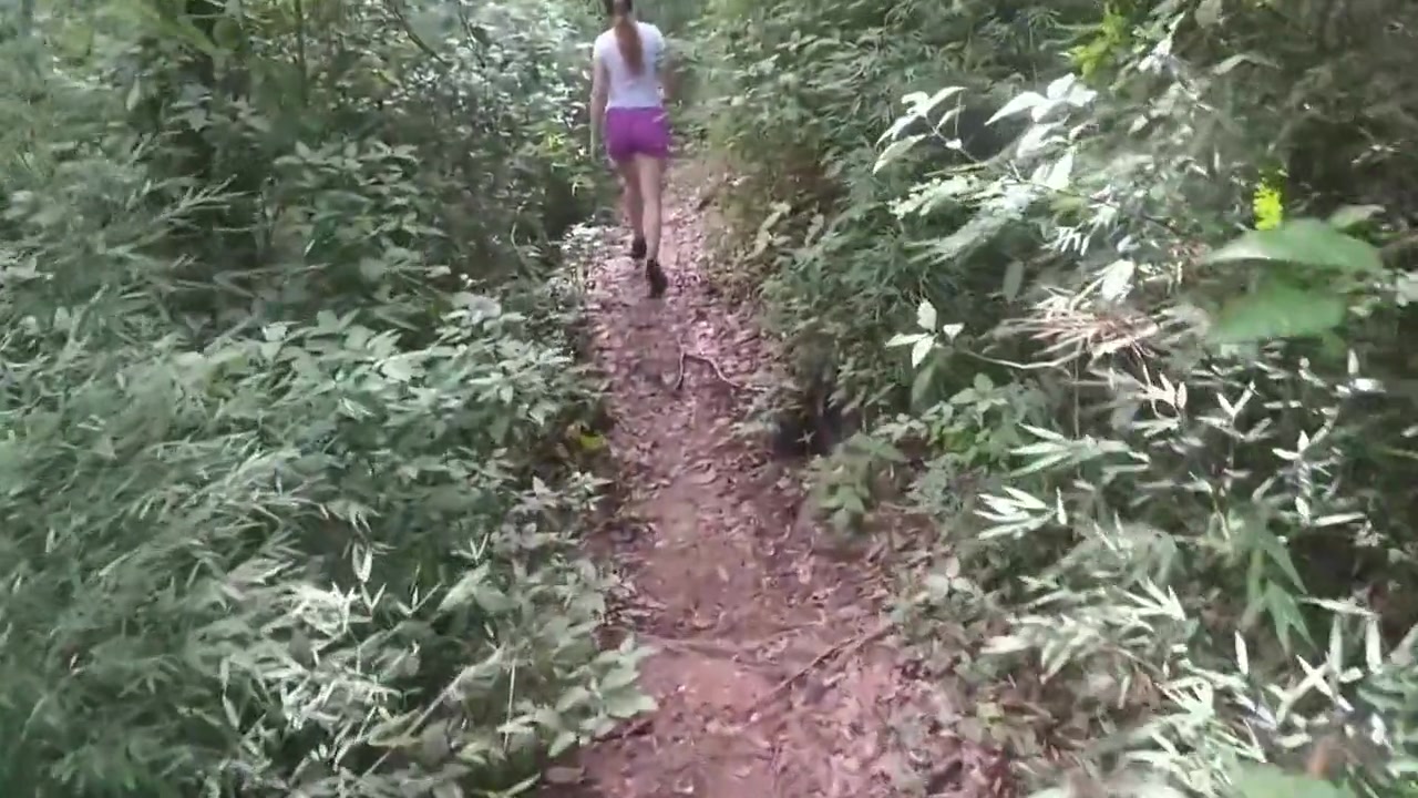 Hard Sex Outdoors