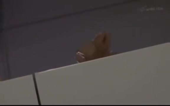 Japanese-sex-toto-280