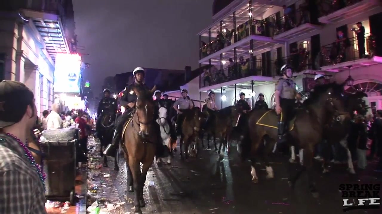 I Love Mardi Gras - SpringbreakLife
