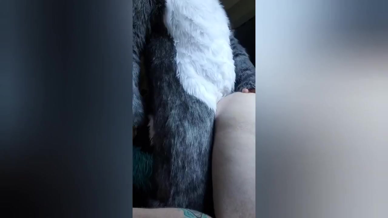 Moto Knotting The Pup