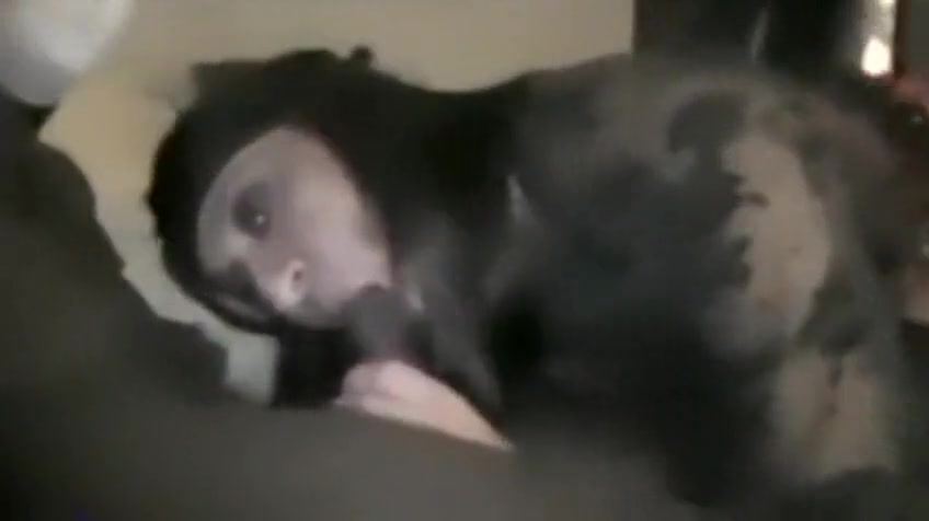 Two French Crossdressers Gangbanged