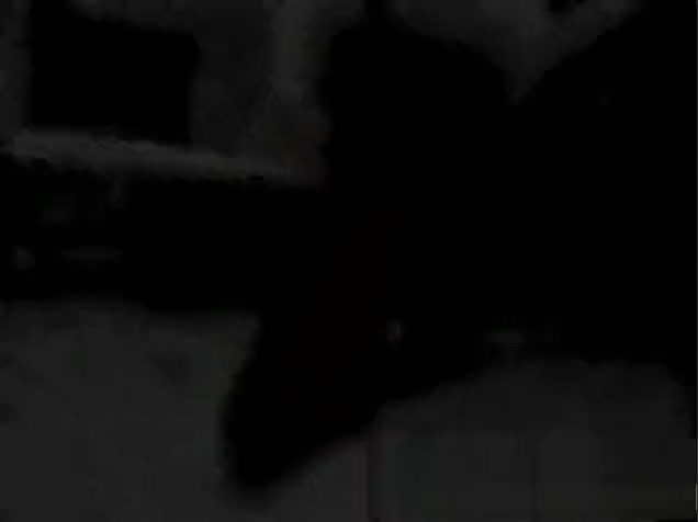 sheboy Chaos - Scene 2