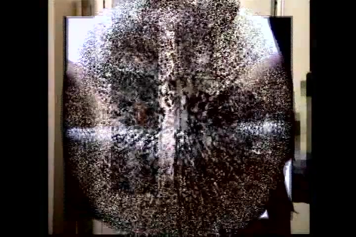 Amateur Japanese Movie