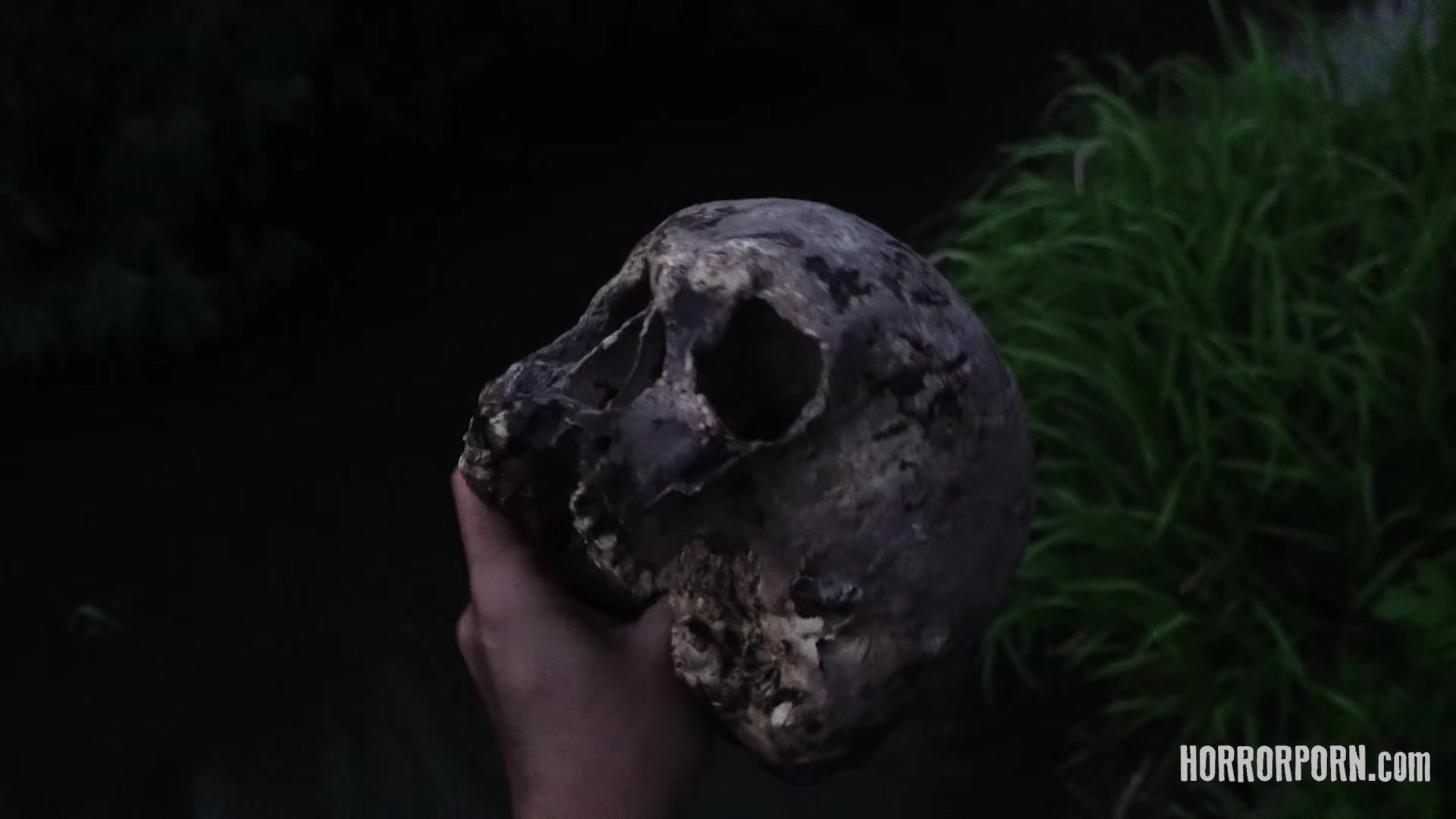 HORRORPORN - Predator Dick Hunter