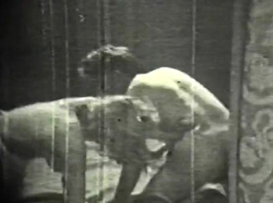 Retro Porn Archive Video: Golden Age Erotica 01 04