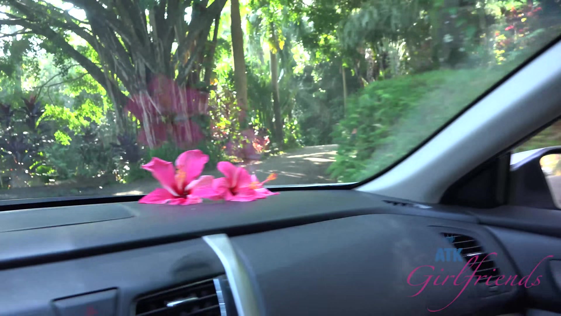 Virtual Vacation On Hawaii With Alaina Dawson Part 6