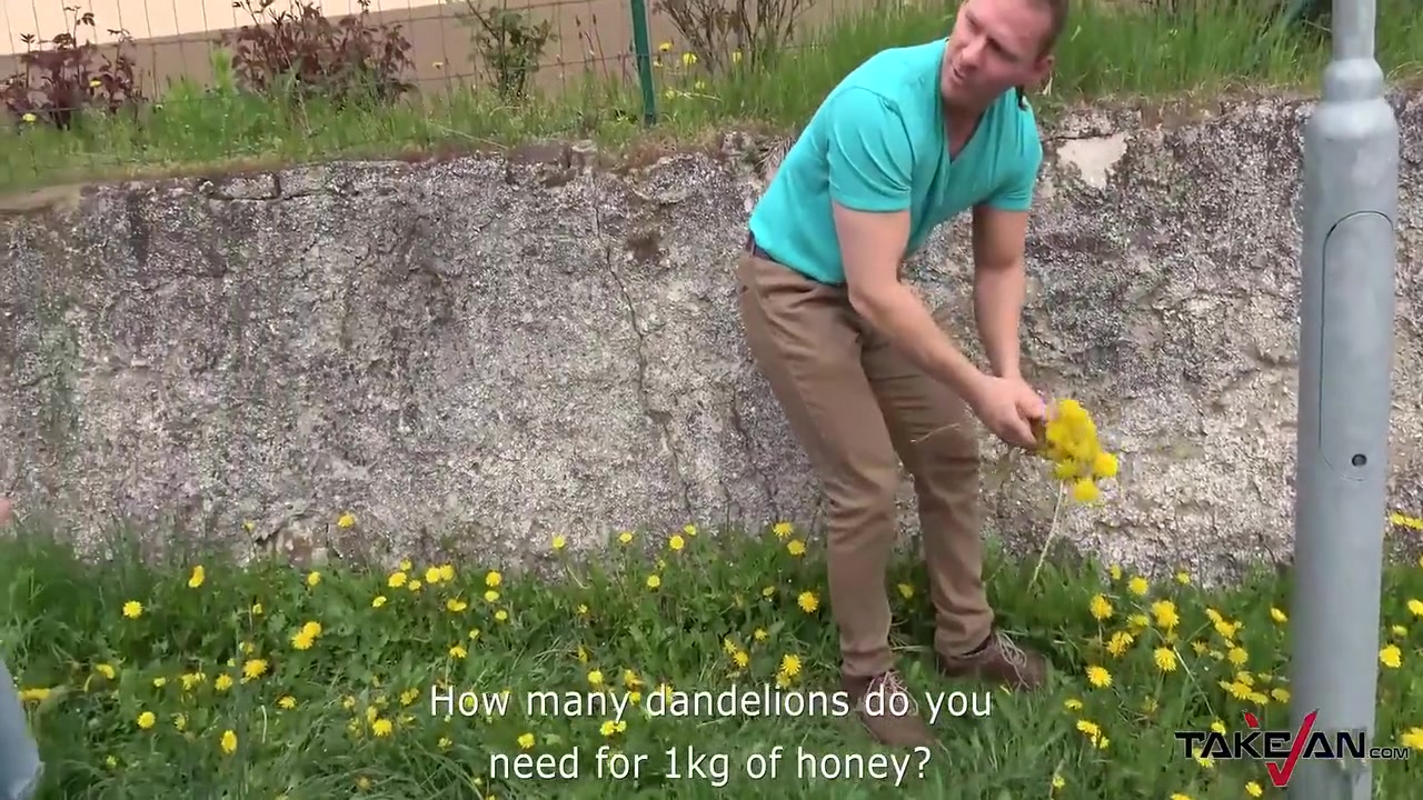 Sexy Teacher Goes From Picking Flowers To Getting Fucked In Public 7 Min