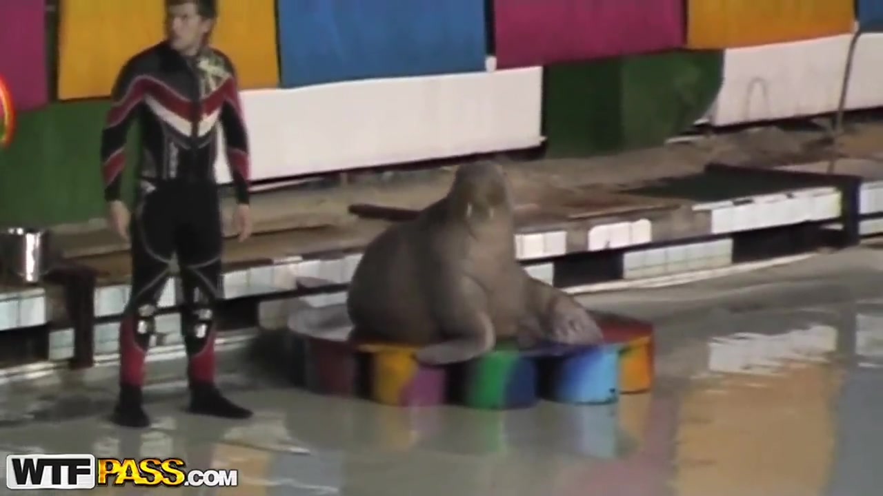 Cute and young brunette babe Natasha is getting seduced by her workmate at dolphinarium for naughty fuck.