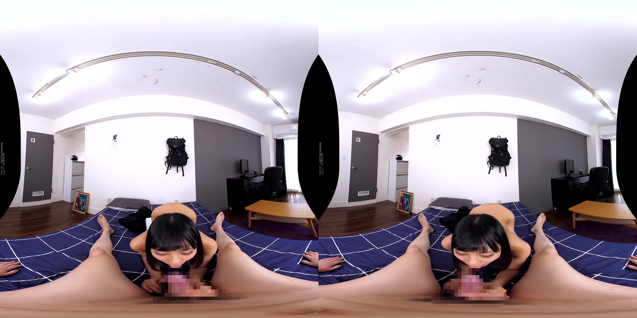 The Barrier in My Room VR: We're Doing What I Want While We're Here!; Japanese Harem POV VR