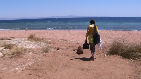 Pretty girl has sex on sandy beach