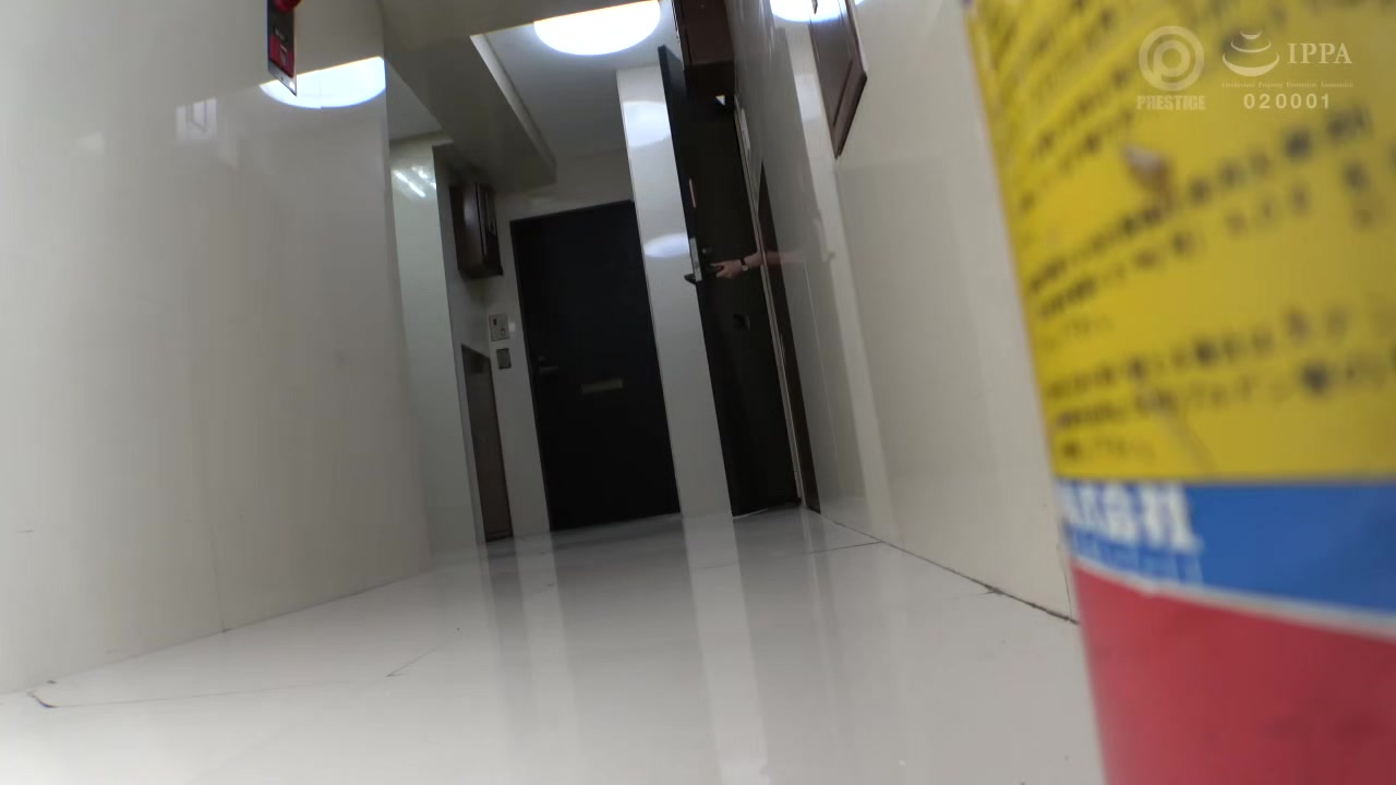 0011850_美人 めがね スレンダーなどが含まれている