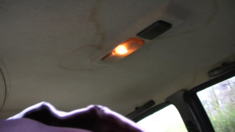 Wild sex pickup as favorite pastime