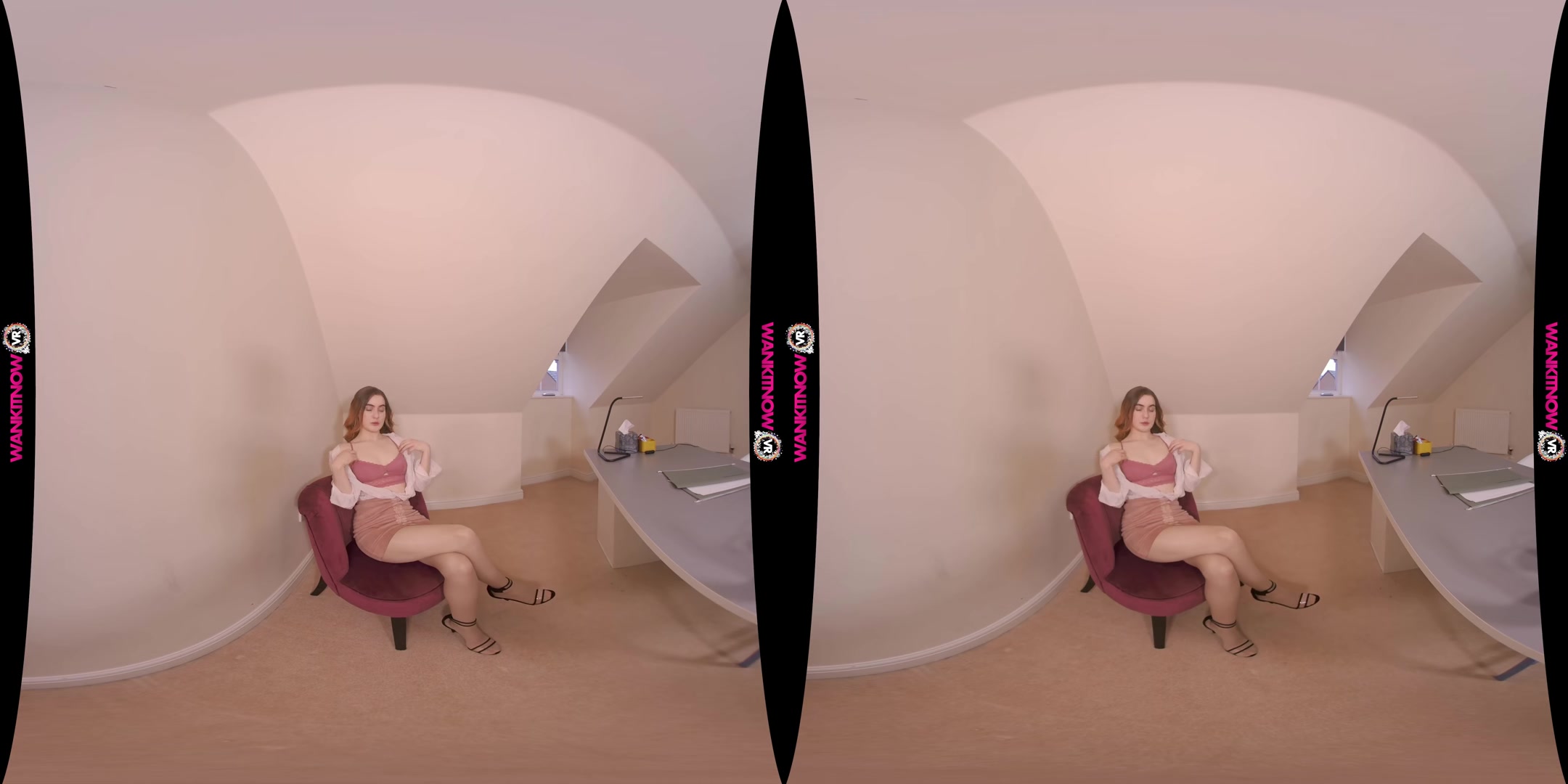 Wank Thief - WankitnowVR