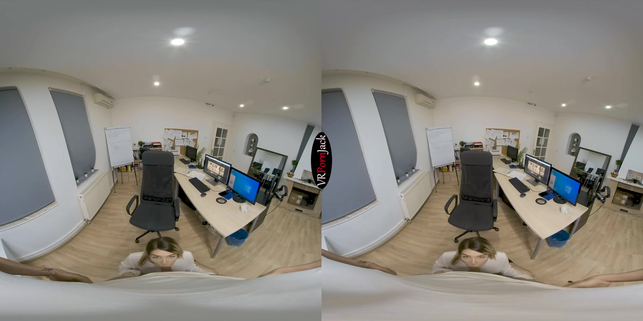 At the Office - Blackmailing My Secretary - VRpornjack