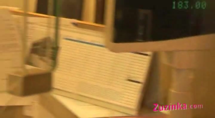 Zuzinka shows pussy in a crowded train