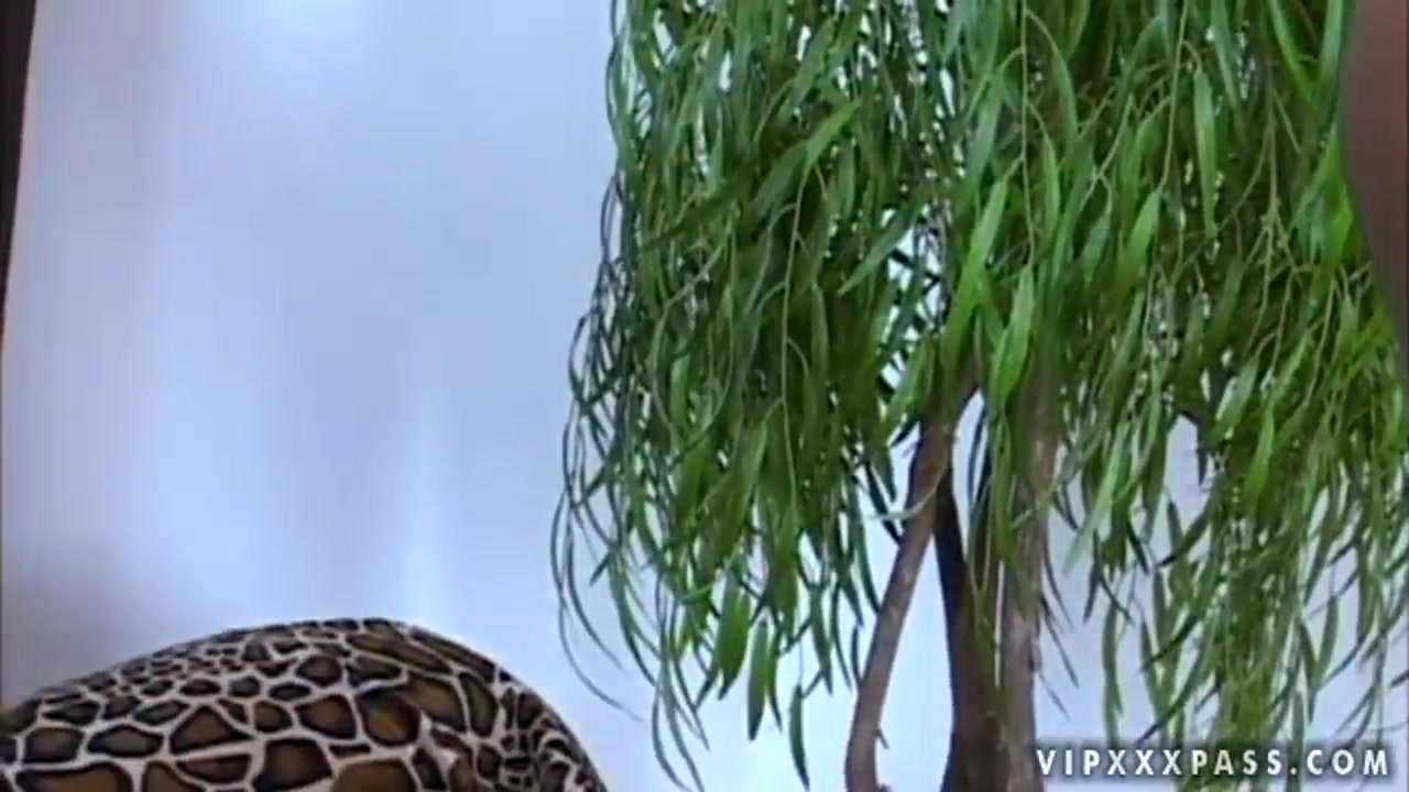 Carmen Hayes banged after giving blow & titjob