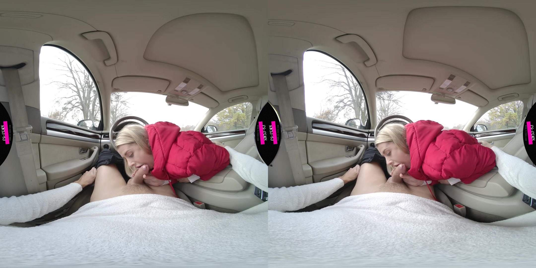 Sex In The Car With Adriana