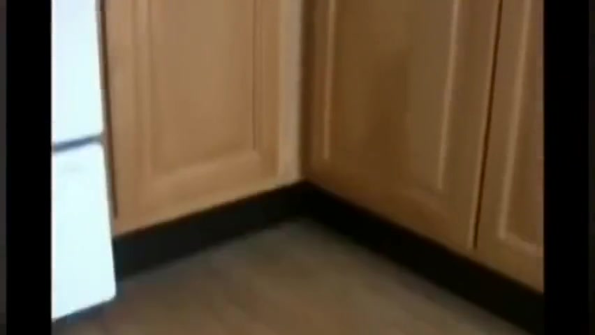 Transgirls,femboys cum compilation
