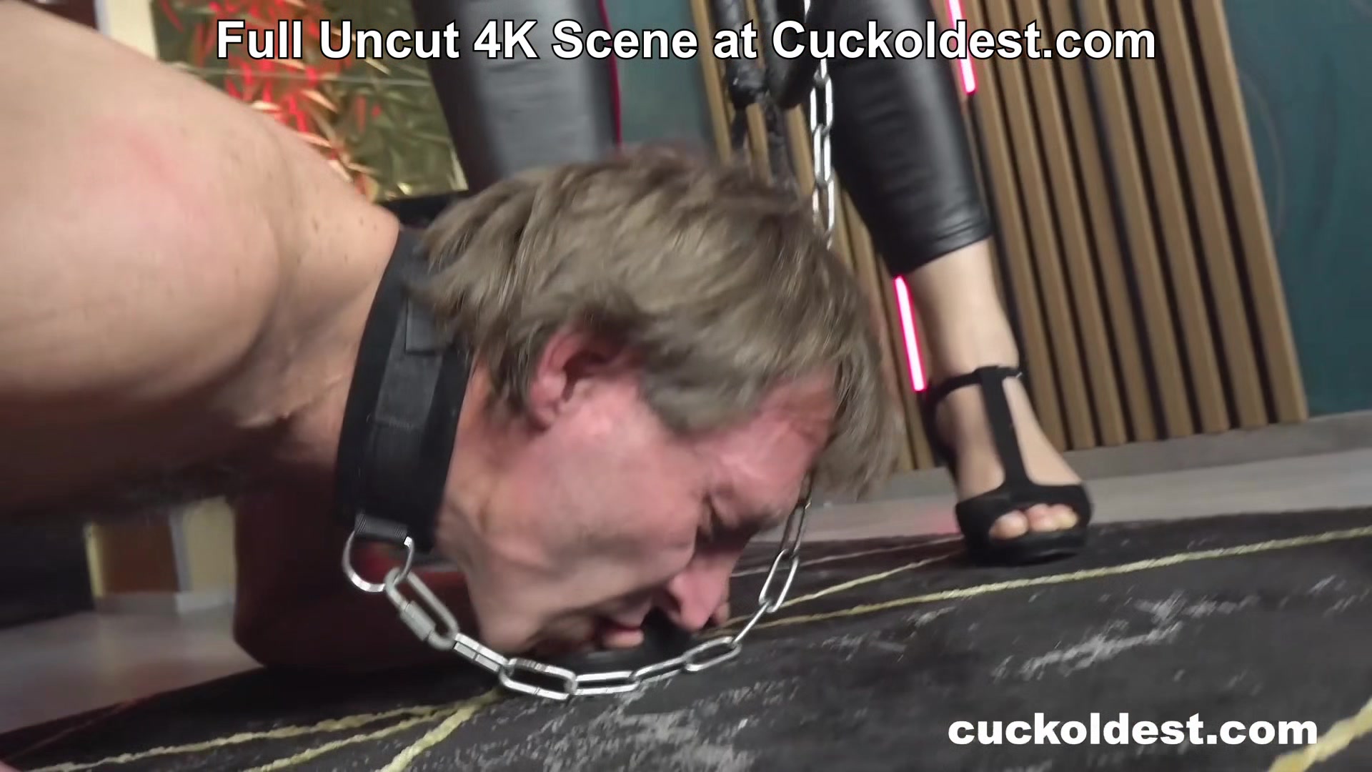 Chastity Useless Husband on a Leash! Foursome by Cuckoldest