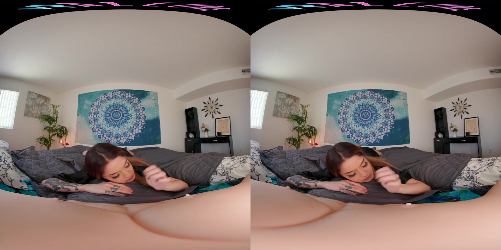 Vanessa Vega - VRHush