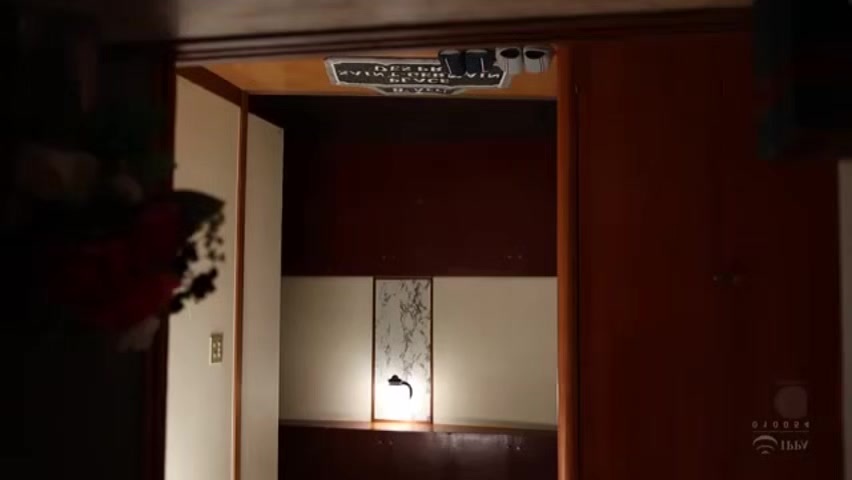 Japanese-sex-toto-1447