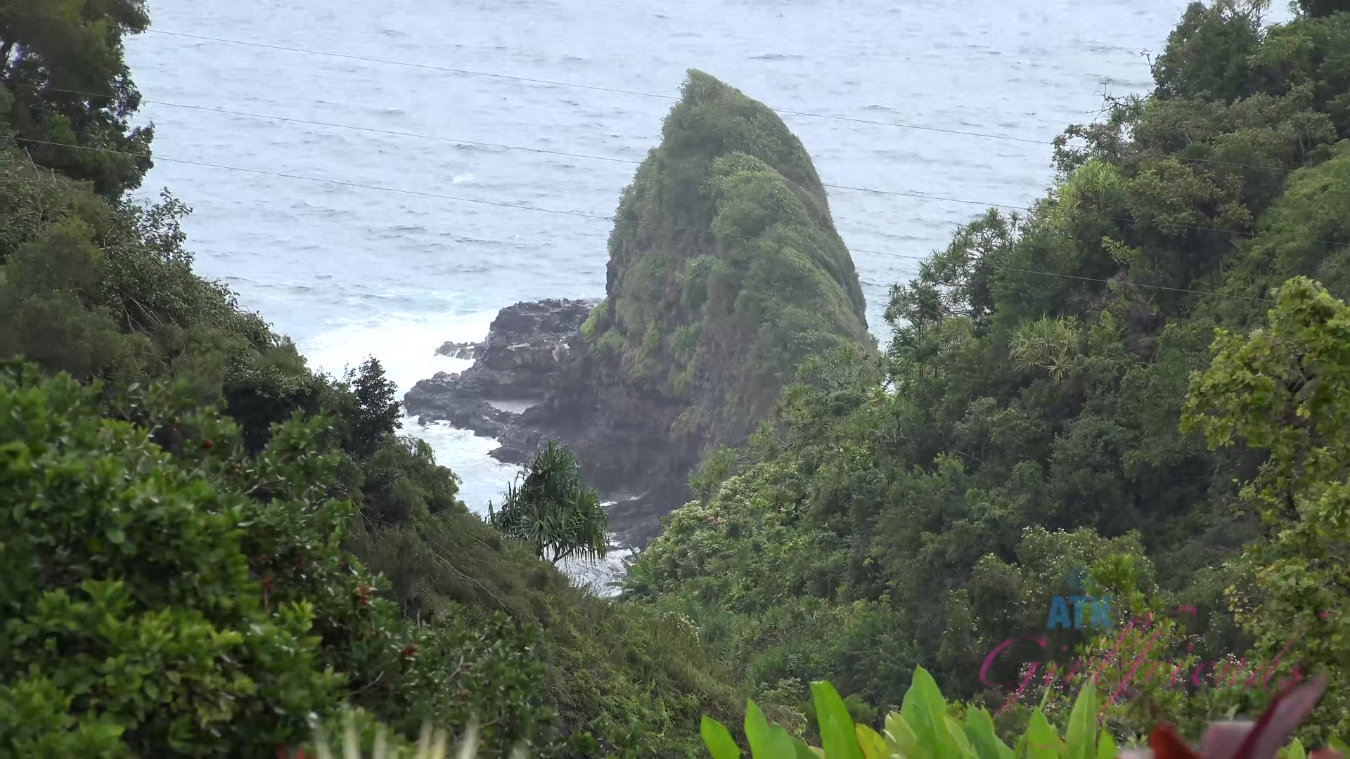 Virtual Vacation Hawaii With Kate England 1/9