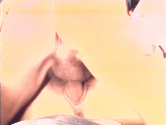 Britt Morgan, Hyapatia Lee, Keisha in classic sex movie