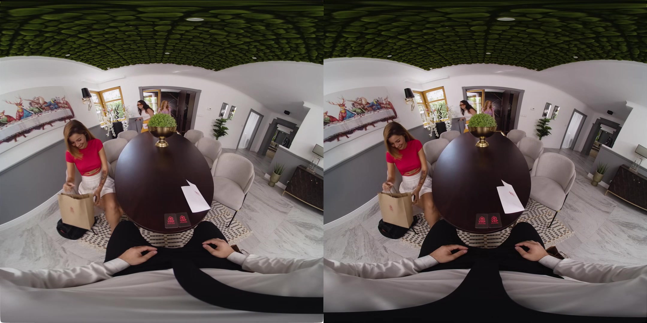 VirtualRealPorn House