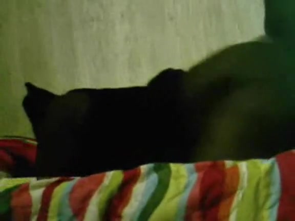 He gives her his pole from behind and enjoys a good doggy style