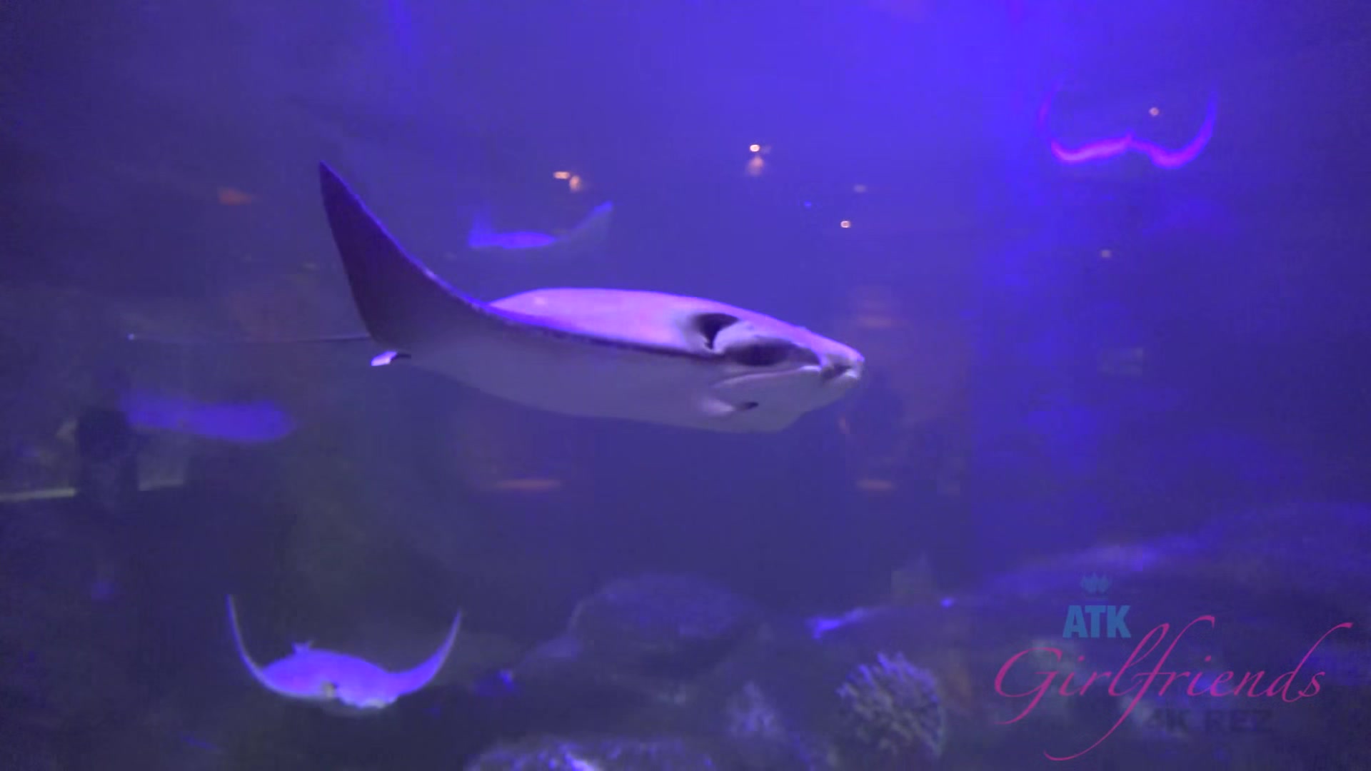 Virtual Vacation In Las Vegas With Jade Amber Part 1
