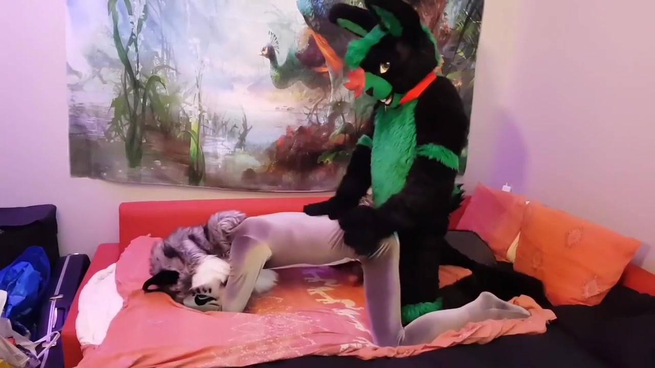 Bunny Breeds A Kitty Fursuit Yiff