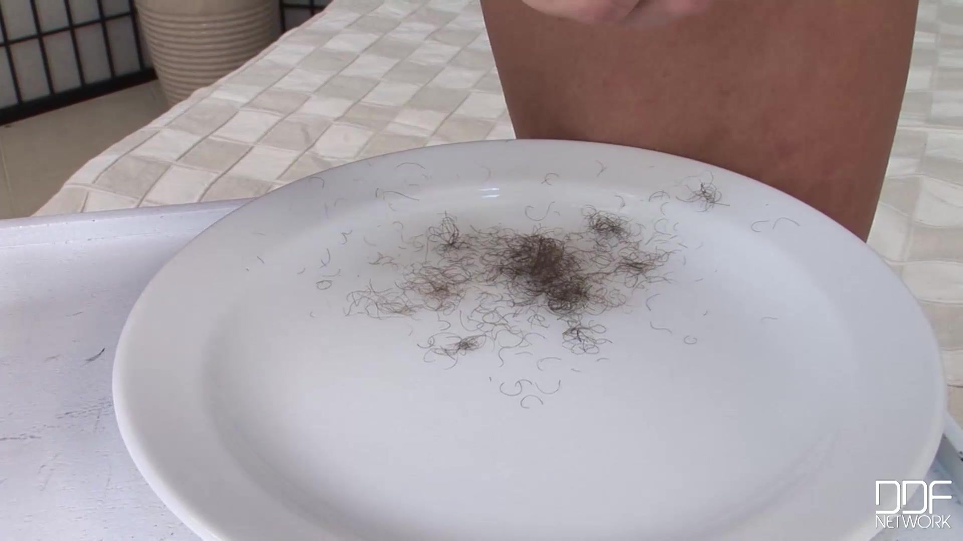 Lovely Whiskers - PornWorld