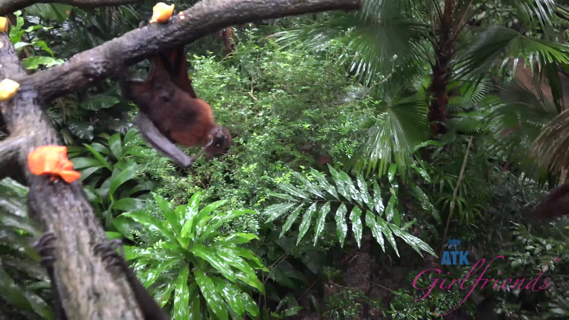 Virtual Vacation In Singapore With Emma Evins Part 4