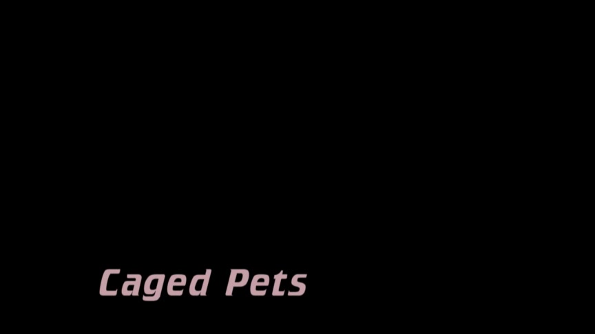 CAGED PETS